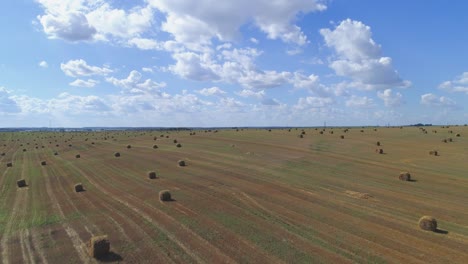 volando sobre el campo dorado de balas de heno cortado. vuelo sobre el campo cosechado