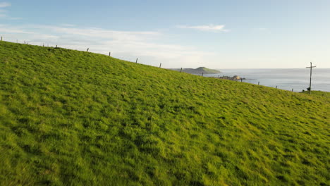 aerial flying over green field over hill, revealing beaches of karitane, new zealand