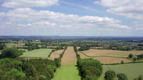 Sobrevuelo-Aéreo-De-Una-Avenida-De-Campos-Bordeada-De-árboles-Con-Vistas-Al-Valle-De-Pewsey---Llanura-De-Salisbury-En-Inglaterra,-Reino-Unido-En-Un-Día-Soleado-De-Verano