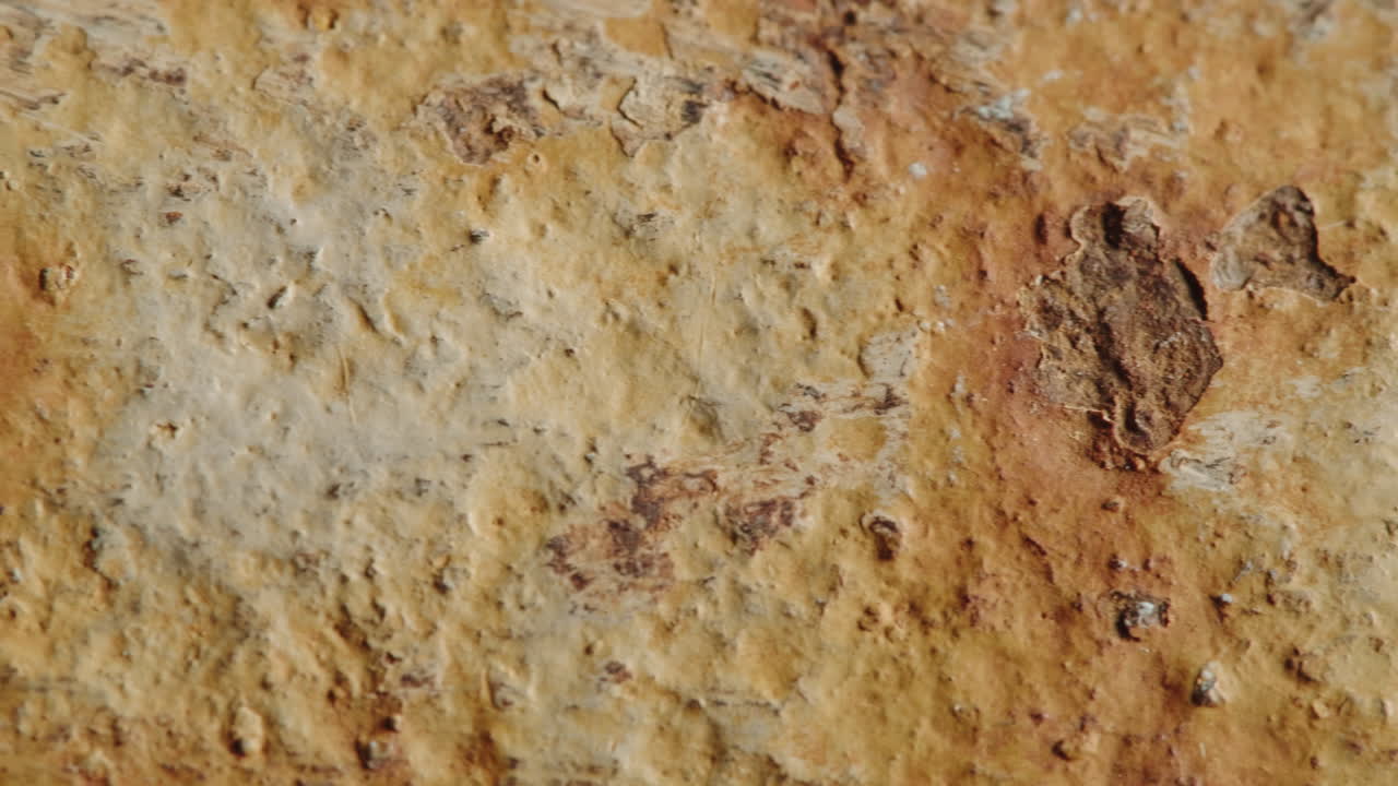 Close-up view of aged wood texture