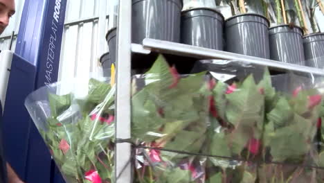 automated plant packaging and transport