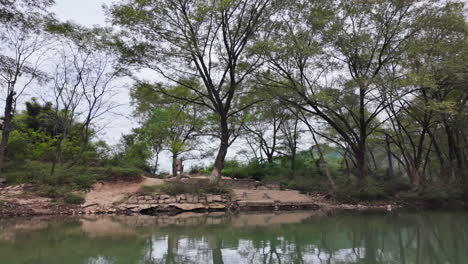riverbank scenery with trees and stone steps