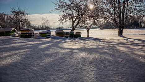 timelapse of colourful beehives surrounded by snow with shadows of trees passing by on the ground