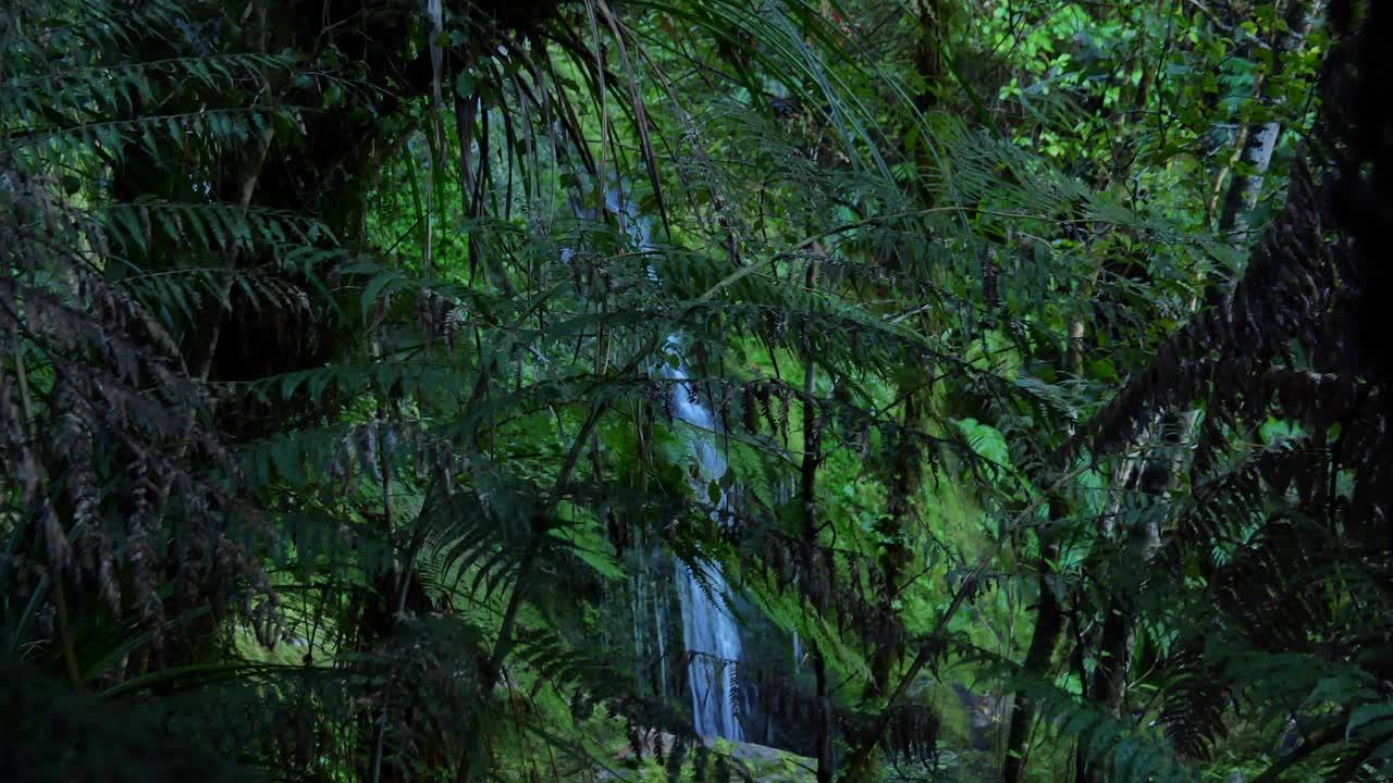 Cascata nascosta in una lussureggiante foresta verde