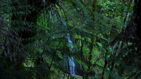 hidden waterfall in lush green forest