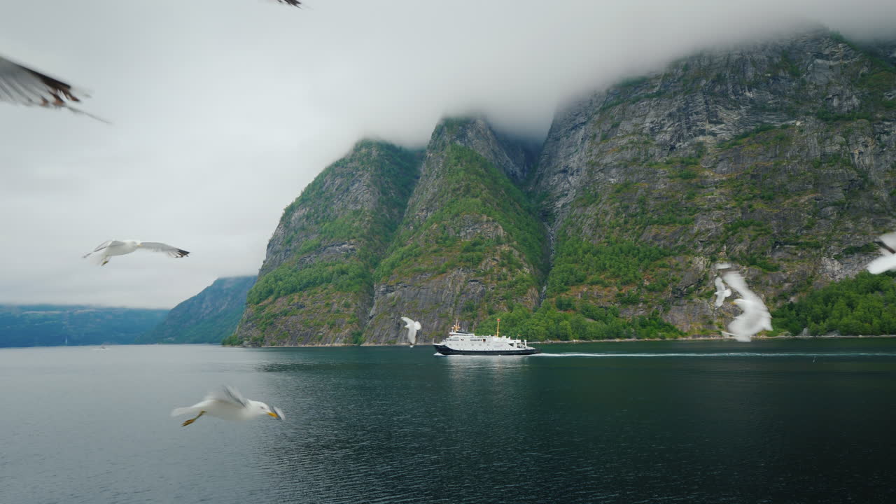 노르웨이의 풍경 - 갈매기가 날아가는 전경에서 배가 항해하는 멀리 있는 그림 같은 피요르드