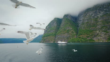 Paisajes-De-Noruega:-Un-Pintoresco-Fiordo-A-Lo-Lejos,-Un-Barco-Navega-En-Primer-Plano,-Las-Gaviotas-Vuelan