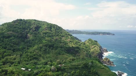 aerial view showing plantation growing on green hill along coastline of yogyakarta, indonesia