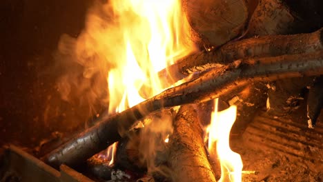 fuego en la chimenea calma y relax