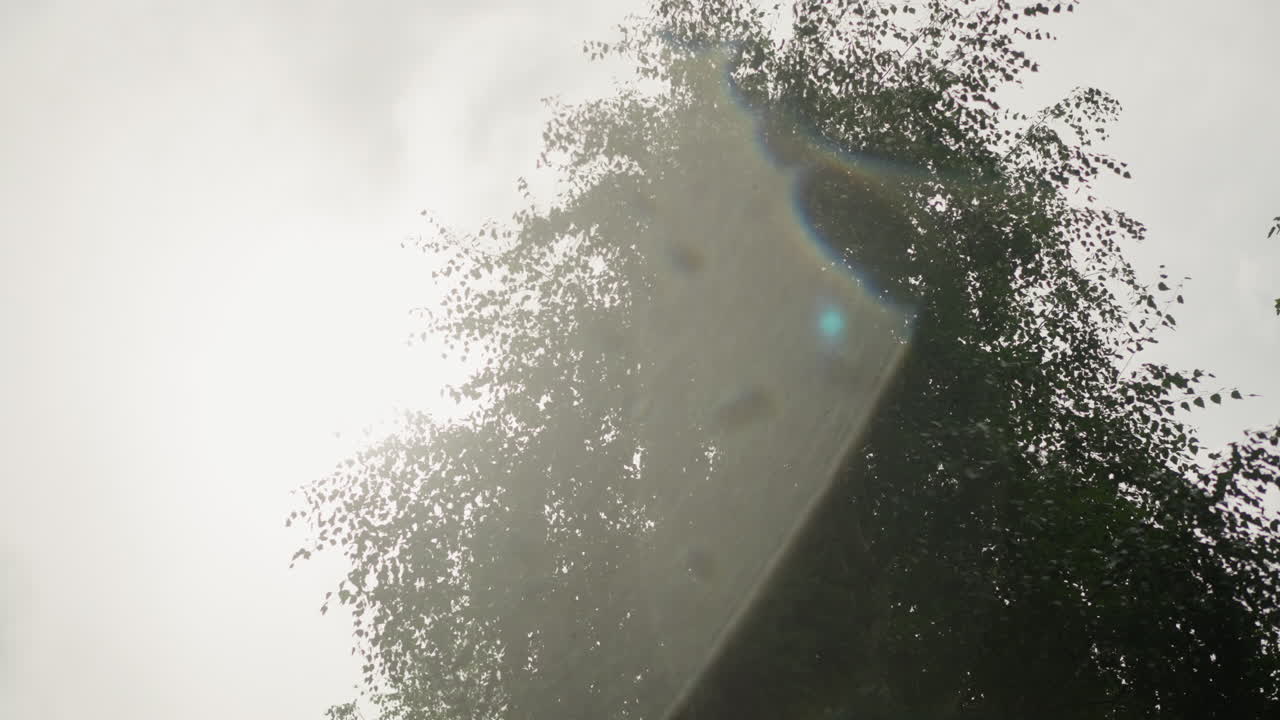 overcast sky wet leaves and glass, panning view of tree canopy through rainspeckled window, subtle lens flare and diffuse sunlight, droplets sliding down surface, roofline silhouette framing scene