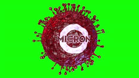 bucle gráfico de movimiento de una vista microscópica de variante omicrón de covid-19 creada utilizando renderización 3d, aislada en el fondo de la pantalla verde.