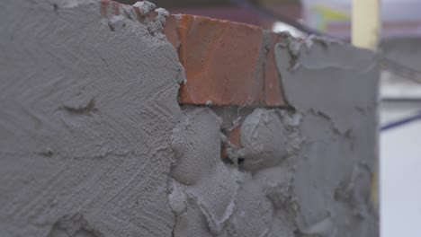 vista de cerca de un técnico de la construcción aplicando mezcla de cemento con paleta en la pared lateral en el patio trasero