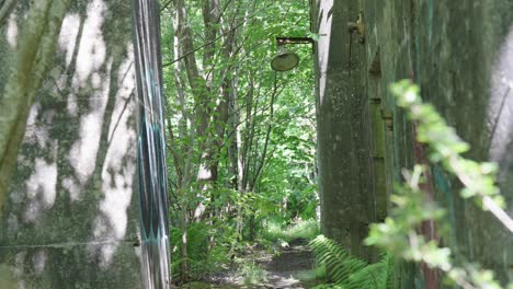 thick vegetation, exterior structure wall, man alone walking, slow motion