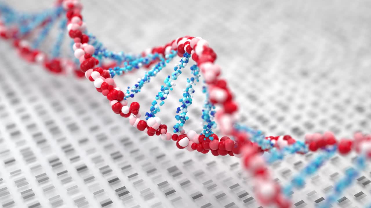 las moléculas de adn