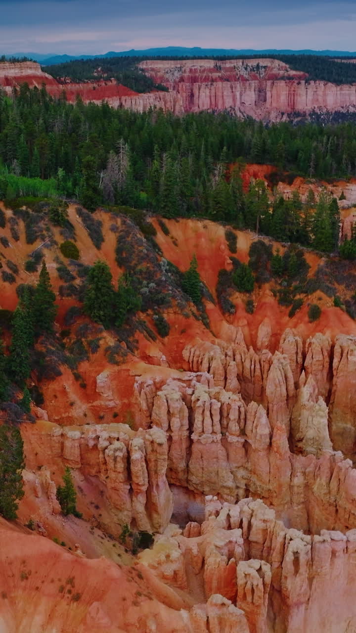 Breath-taking scenery of National Bryce Canyon Park in Utah, United States. Orange rocks and green pine trees from aerial view. Vertical video