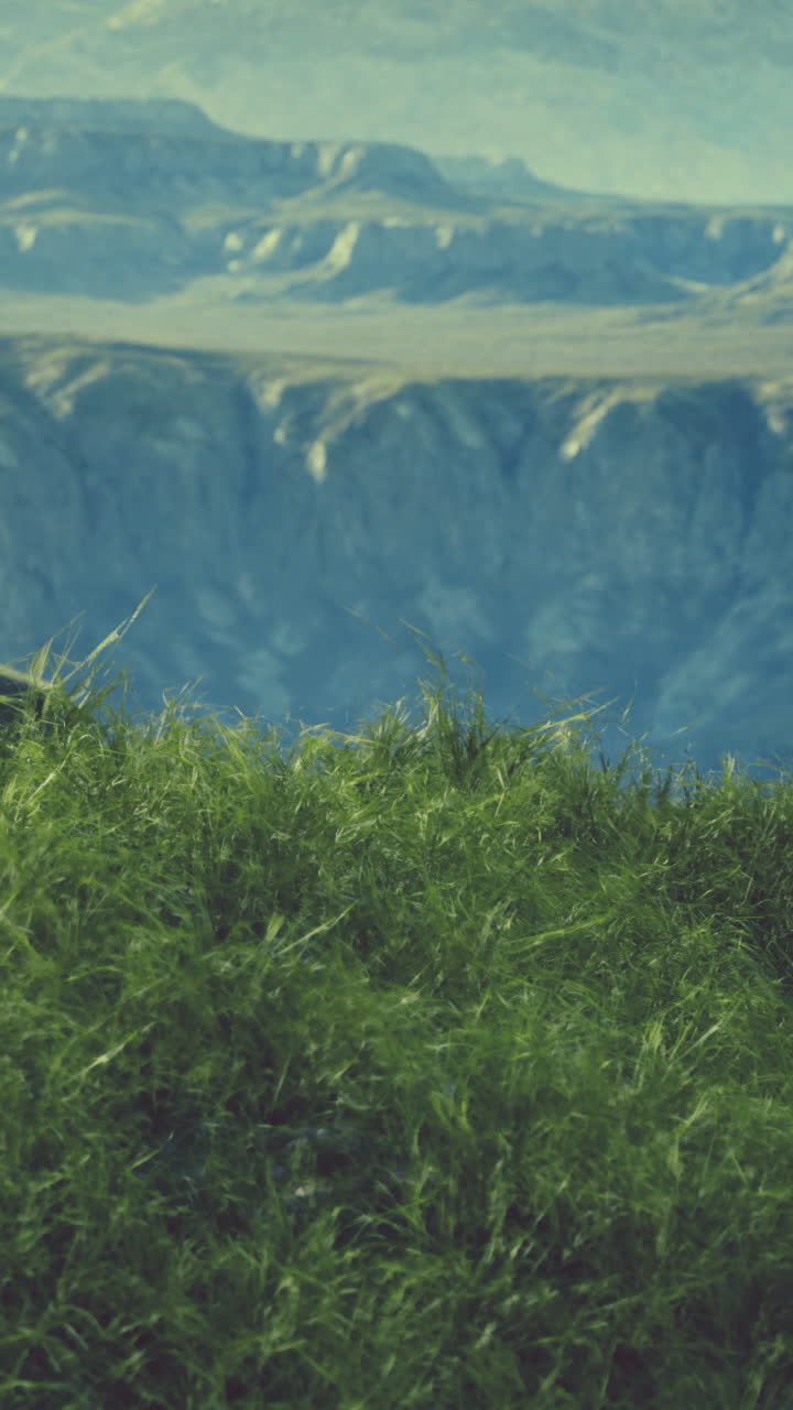 hierba verde soplando en el viento, con una cordillera azul en el fondo