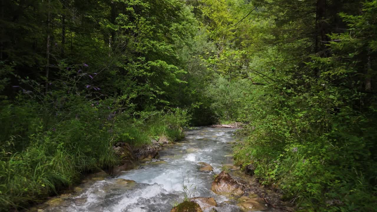 En flod med rent bjergvand, der løber nedstrøms inde i en tæt grøn skov, fra luften