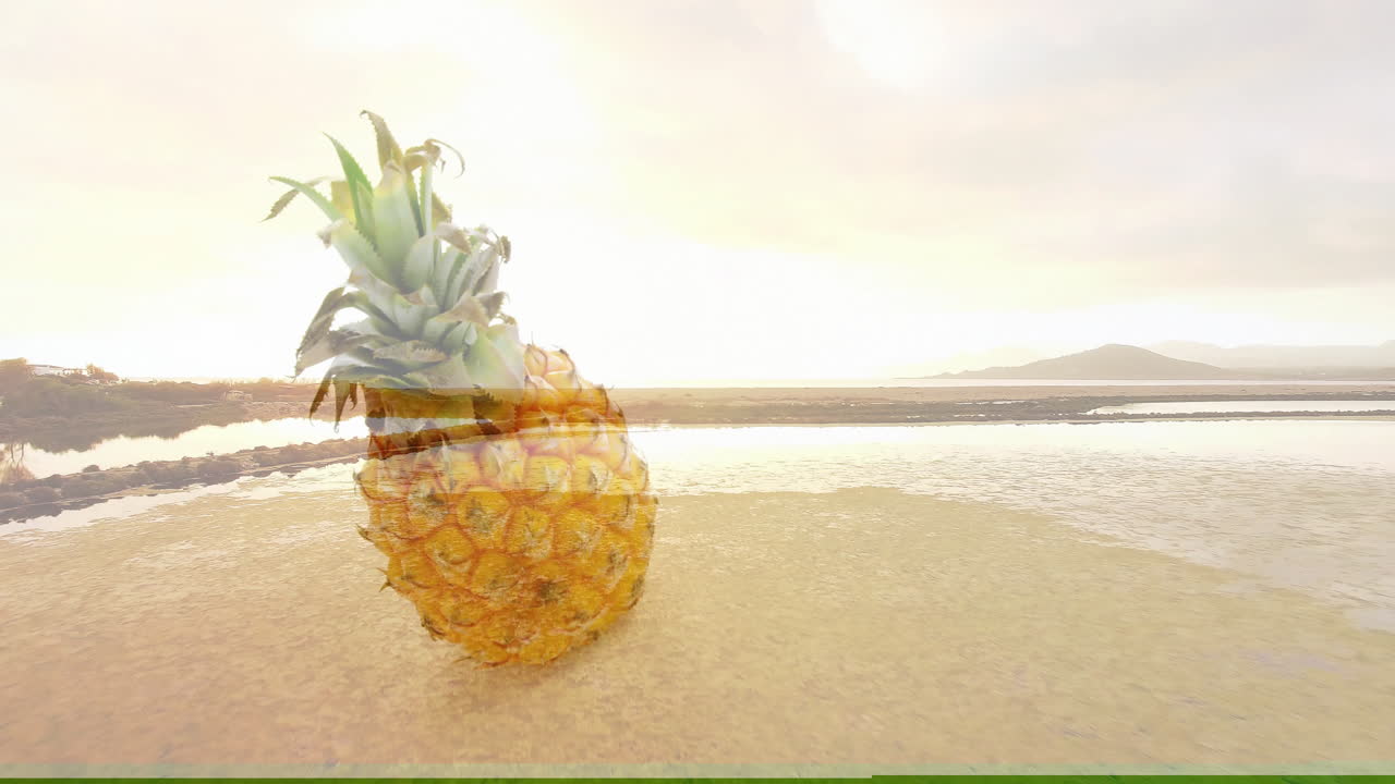 Animation of pineapple overlaying serene beach with calm water and distant hills