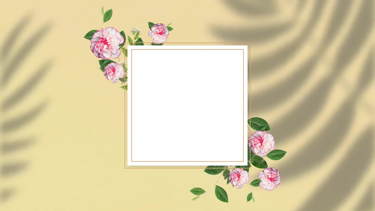 Animation of flowers and shapes with copy space over shadow of leaves