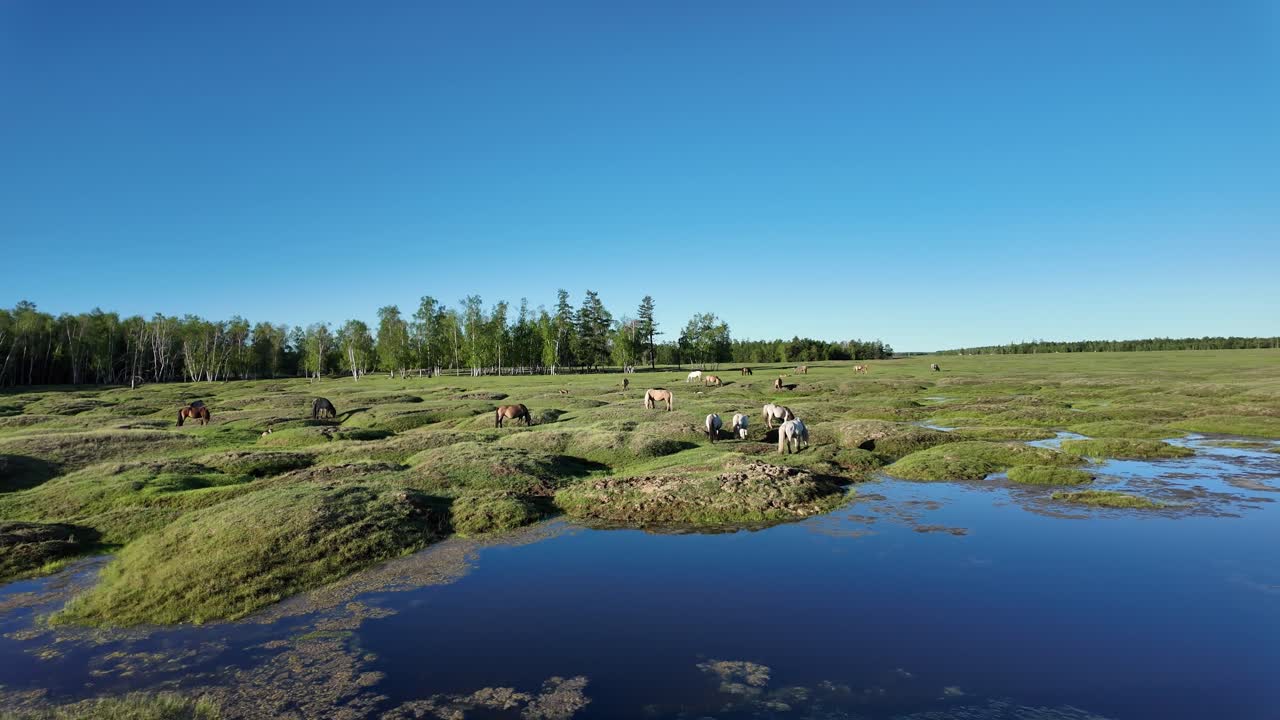 una vista serena de caballos pastando en un prado exuberante con un pequeño lago en primer plano