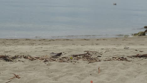 beach background, water coming onto the shore