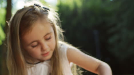 close-up view of a small caucasian girl sitting in the park and playing with two labrador puppies in the basket on a summer day