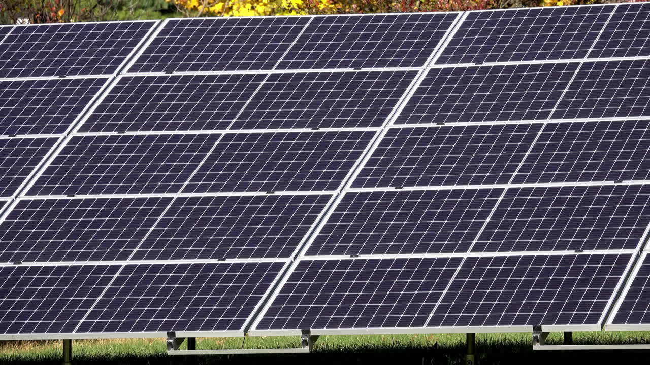 primer plano de paneles solares con césped y árboles de fondo visibles