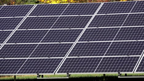 Close-up-of-solar-panels-with-some-lawn-and-background-trees-visible