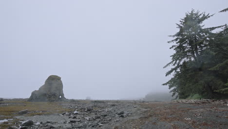 la lluvia y la niebla cubren la dramática costa olímpica del estado de washington, estados unidos.