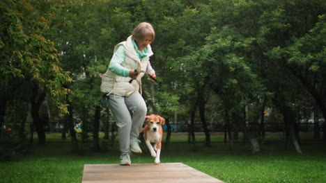 canine specialist having training session with basset hound dog running over series of obstacles in green outdoor park filled with trees showing focus teamwork during active pet agility course