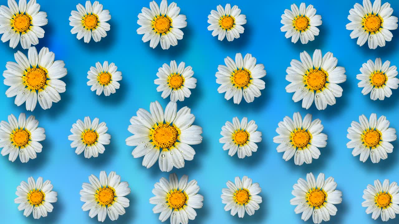 hermoso fondo floral animado de verano