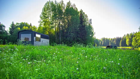 Faszinierende-Naturkulisse-Mit-üppigem-Grün-Und-Verträumtem-Himmel