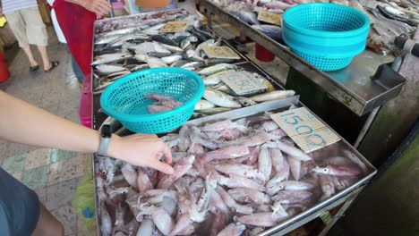 imágenes vibrantes que muestran a diversas personas seleccionando calamares frescos en un bullicioso mercado húmedo, destacando el rico y auténtico estilo de vida local y las opciones tradicionales de mariscos