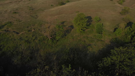 Luftneigung-Nach-Oben-Zeigt-Morgens-Den-Blick-Auf-Einen-Hügel-Mit-Der-Natur