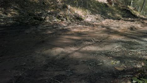tilt pan of a muddy new england forest road eroded by heavy rains after a storm caused stormwater washout. climate change or extreme weather degrades, ruins infrastructure in remote rural communities.