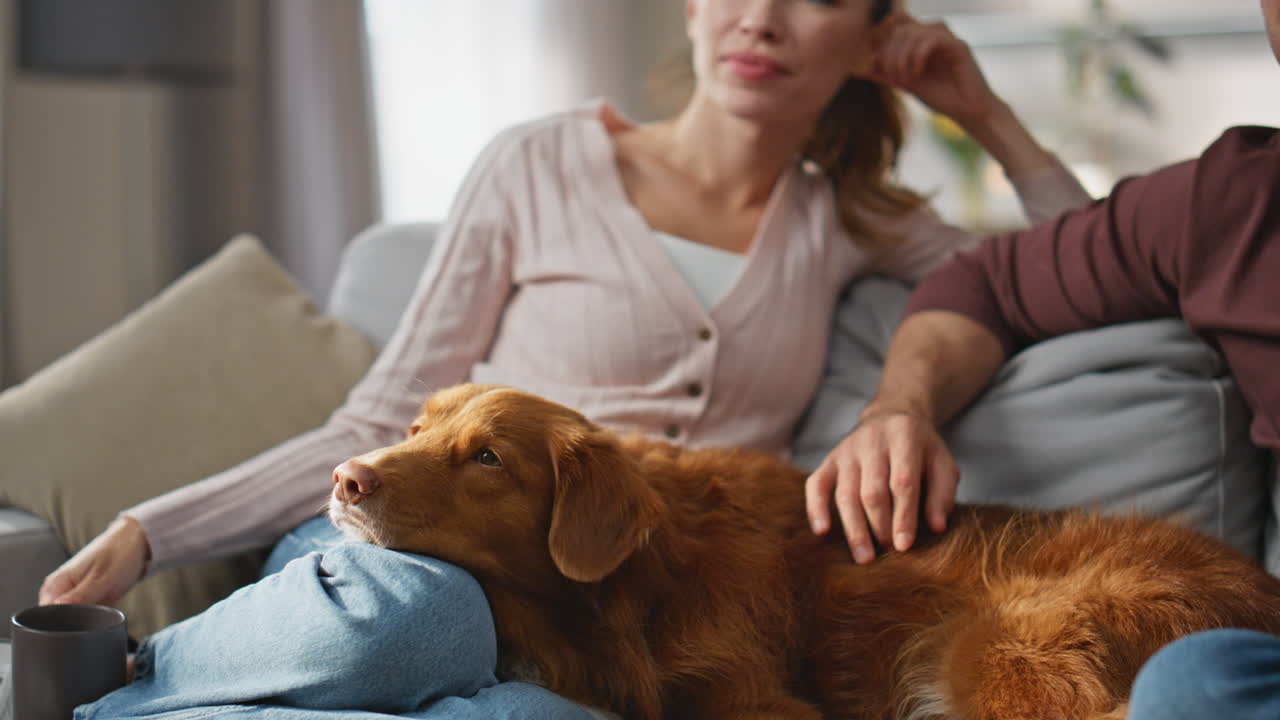 Calm couple caressing dog at cozy living room close up. Spouses drinking coffee