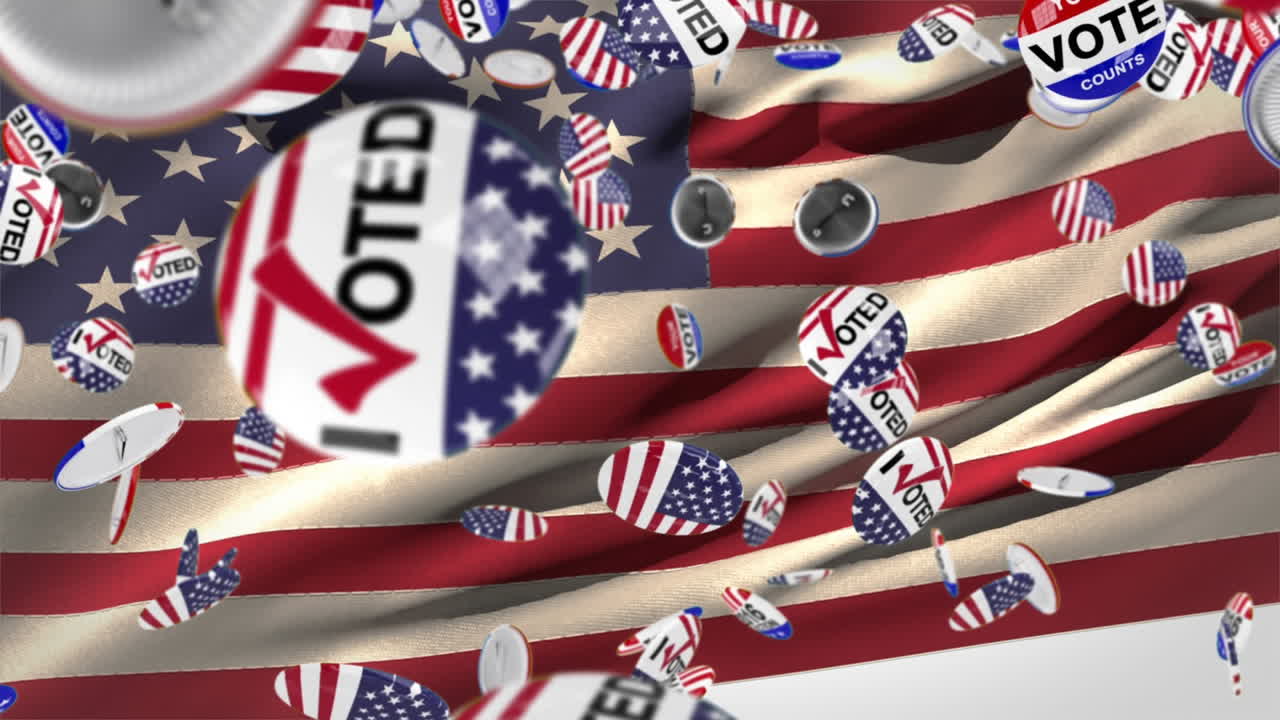 미국 선거 투표 핀