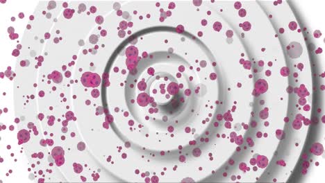 Animation-of-pink-cells-floating-over-white-background-with-circles