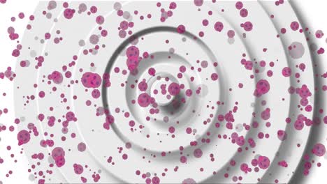 animación de células rosadas flotando sobre un fondo blanco con círculos