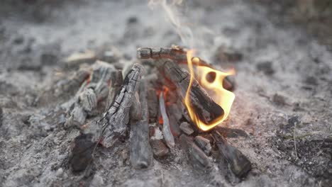 quemar fuego con leña en el campamento de la playa