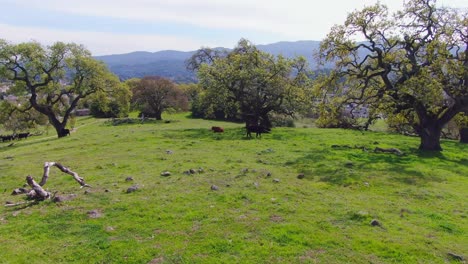 Wandern-Durch-Malerische-Natur-Rund-Um-Wunderschöne-Landschaften