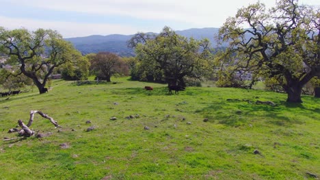 senderismo a través de la naturaleza escénica alrededor de paisajes hermosos