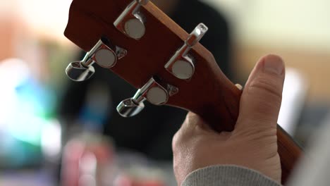 detail of the pegs of a ukulele