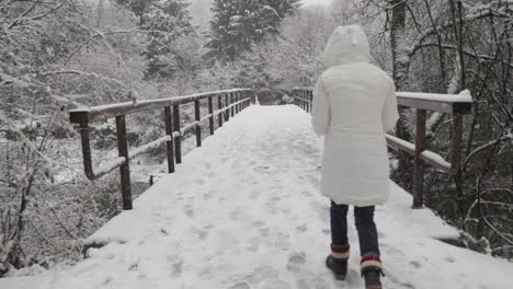 a woman in a long winter jacket walks across a snow-covered bridge in a blizzard