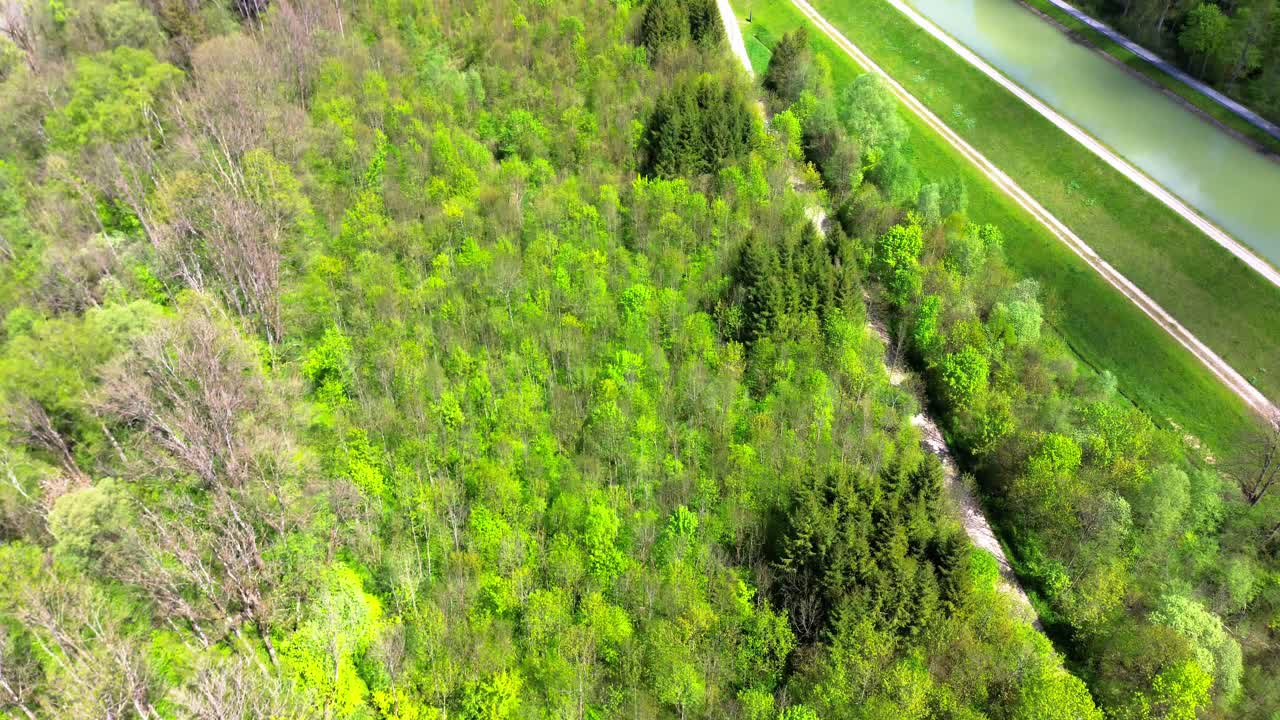 aviones no tripulados vuelan sobre bosques y campos en verano 4k