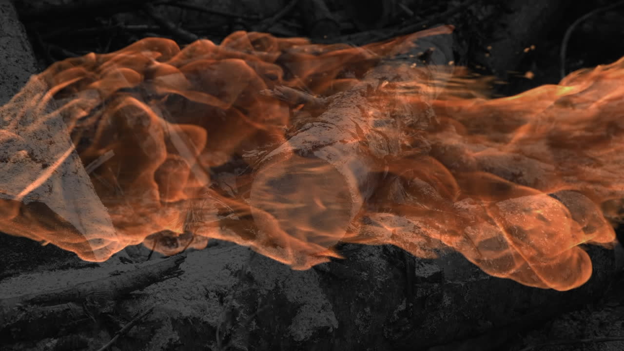 Animazione di fiamme su alberi in una foresta