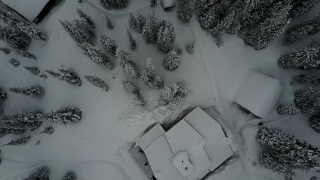 Drone-flying-over-remote-cabin-in-woods-in-winter-looking-straight-down