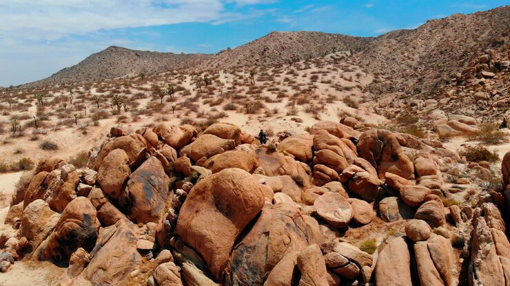 Un uomo è in piedi su una montagna rocciosa, da solo, che osserva un deserto arido a Joshua Tree, di giorno, sotto cieli azzurri e soleggiati in California, USA.