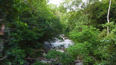 Drones-Aéreos-Vuelan-A-Través-De-Un-Bosque-De-árboles-Que-Revelan-Un-Río-De-Agua-En-Santa-Marta,-Colombia,-Sudamérica