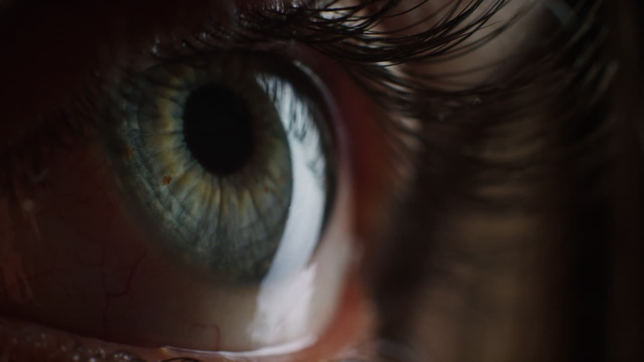 ojo humano de cerca parpadeando hermoso iris buscando curioso concepto de visión saludable